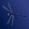 Blue Dragonfly Clip Art